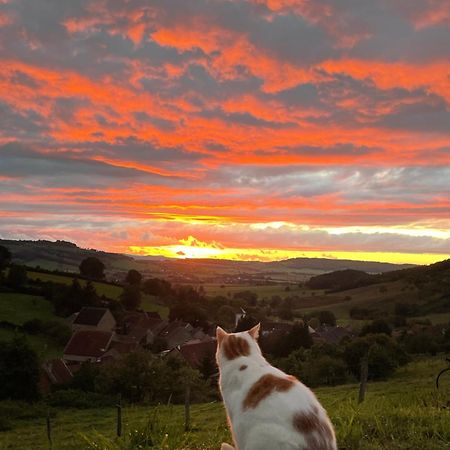 La Petite Maison Dans La Campagne Massingy-lès-Vitteaux Esterno foto