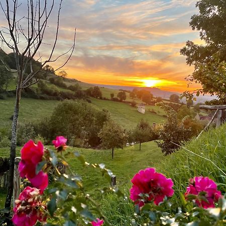 La Petite Maison Dans La Campagne Massingy-lès-Vitteaux Esterno foto
