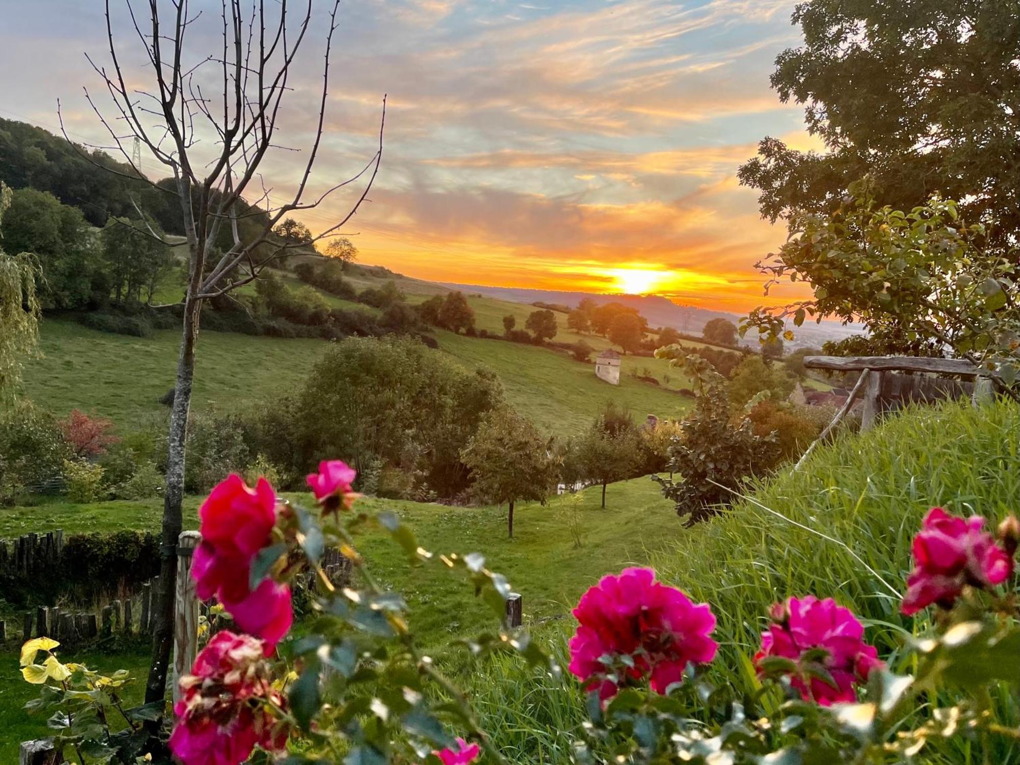 La Petite Maison Dans La Campagne Massingy-lès-Vitteaux Esterno foto