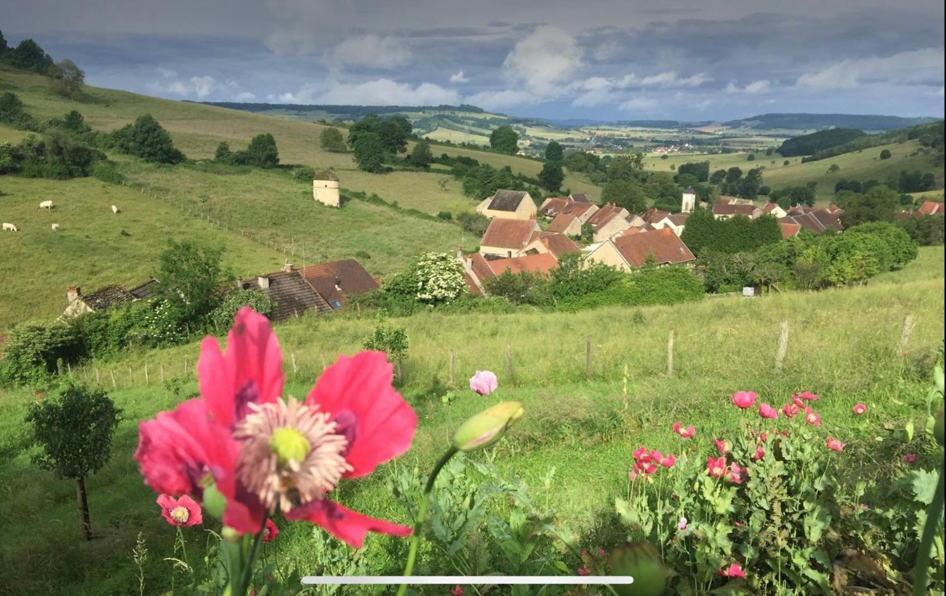 La Petite Maison Dans La Campagne Massingy-lès-Vitteaux Esterno foto